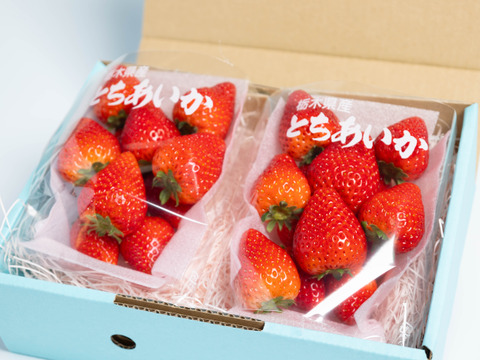 朝摘みフレッシュ！「とちあいか」2パック