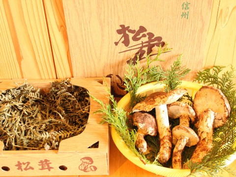 南信州産 マツタケ 2等級～3等級（半開き・開き）300g：長野県産 