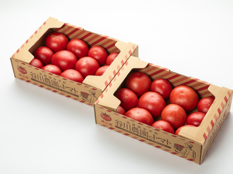 【北海道産】🍅樹上熟3段採り🍅桃太郎トマト4kg（2kg箱× 2） 〈訳あり品〉