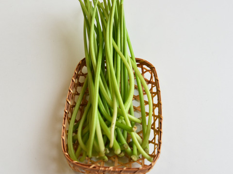 和らぎ農法　さつまいも　芋づる（1束）