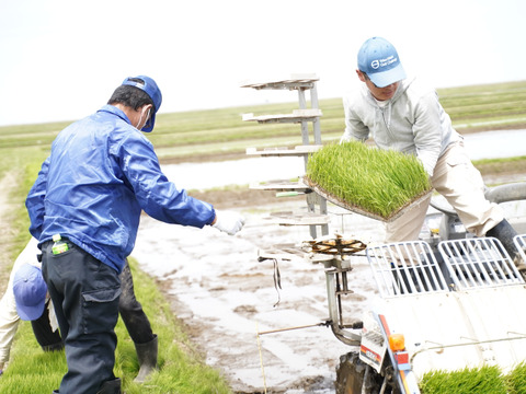 まだ間に合うクリスマス☆絶対喜ばれるおしゃれな【冬ギフト】香取市産コシヒカリ300g×3P