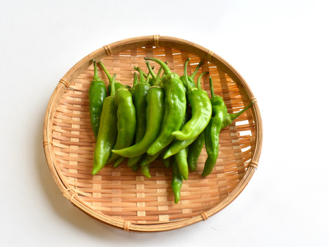 和らぎ農法　甘とう美人（1袋）