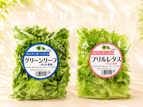 【父の日ギフト】【中容量】贈答用にも！洗わずに食べられるレタス食べ比べ7点セット（720ｇ）