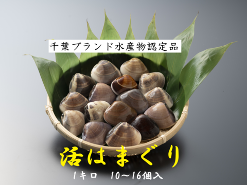 酒蒸し♪お鍋にどーぞ(^^)
《千葉ブランド水産物認定品》
九十九里産はまぐり（1kg/10〜16個位）