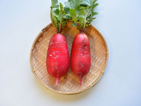 和らぎ農法　サラダ赤大根　大（1～2本）