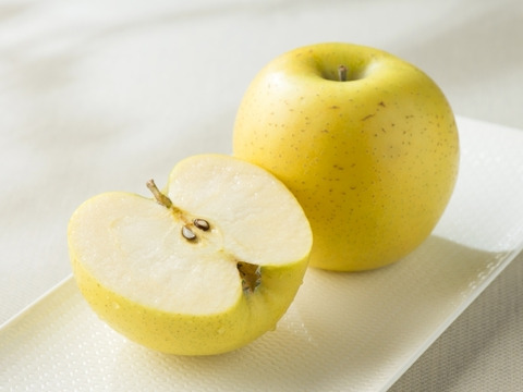 採れたて鮮度抜群【シナノゴールド】10㎏ 26～40玉　10月下旬頃収穫　青森りんご　農家直送