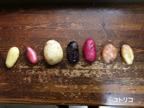 7月20日以降発送【訳あり】7種の彩りジャガイモ【有機JAS】食べ比べセット約3㎏【肌荒れ・ちびころ・小傷有】