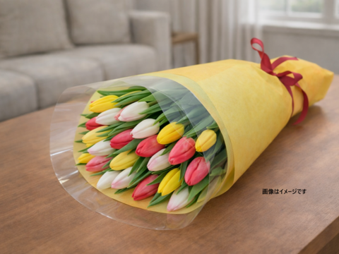 ラッピングチューリップ　20本束（花色おまかせ）　　※北海道・沖縄県配送不可※