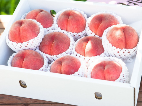 【夏ギフト】山梨桃専業農家が暑い夏を届けます!　真夏桃　3kg