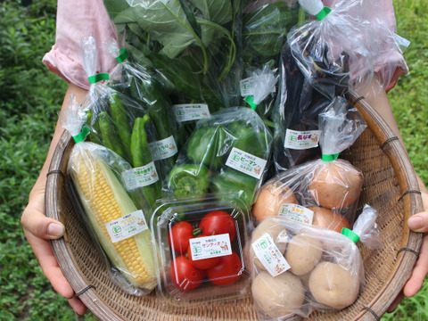 てんとうむしばたけがお届けする旬の有機野菜セット8~9品＜有機JAS認証＞