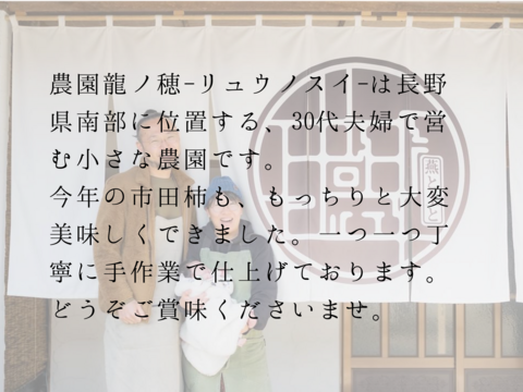先行予約受付中！【ぽってりと上品な甘さ】南信州産市田柿600g　干し柿