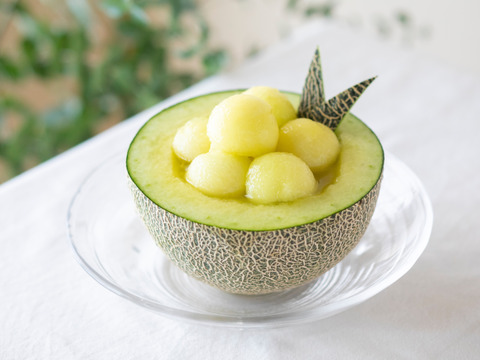 茨城県産 アールスメロン 1玉【特秀】