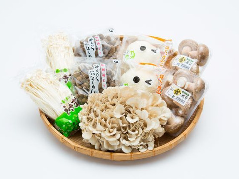 送料無料 きのこ様専用注目 盛り沢山セット 30 Offアウトレットsale Www Globaldentalcentre Org
