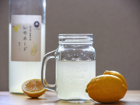 レモネード　900ml　2本入　【母の日ギフト】