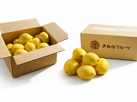 【国産レモン】和歌山県産 防カビ剤不使用・皮まで使えるレモン 3kg（家庭用）