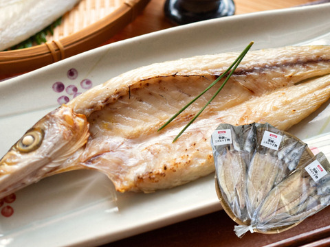 【海の精×天日干し】カマスの無添加干物（６枚入）