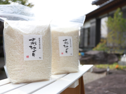 【1年度】冷めても美味しい!さがびより(白米10kg)