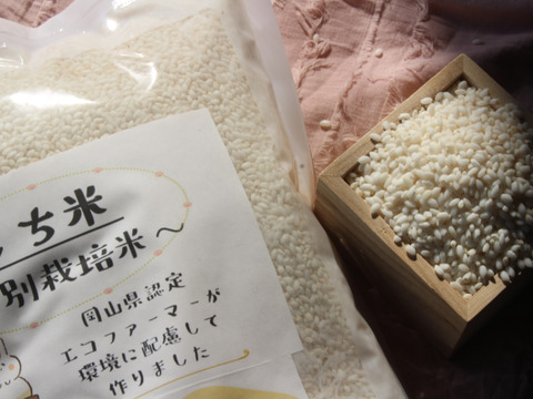 もっちり柔らか！令和6年産特別栽培米ヒヨクモチ（もち米）精米4キロ(2キロ×2)