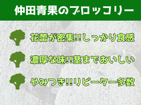 ブロッコリー2株×淡路島新玉ねぎ10個セット【野菜ソムリエサミット金賞🏆】