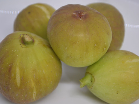 イチジク(５～１０個前後）２パック【あわせ買い可】【農薬・化学肥料不使用】【熨斗(のし)対応可】６０サイズ箱