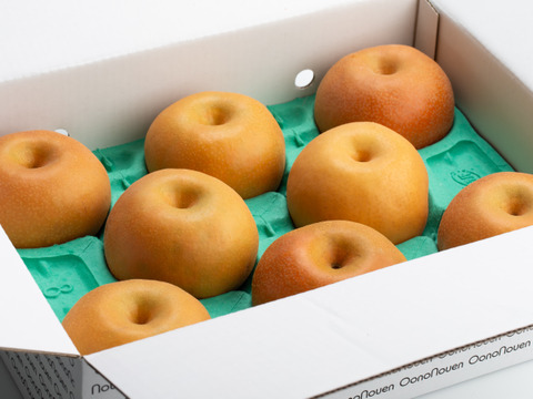 大玉梨　上品な甘さと良き香り【梨：新高】9～5個程度（約3ｋｇ）