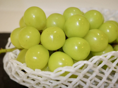 数量限定】シャインマスカット 4房（2.3〜2.6kg） 食べごたえ満点