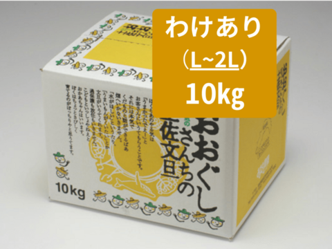 【土佐文旦訳あり10kg（L-2L）】日本で一番みかんと暮らしてる私たちにお任せください！