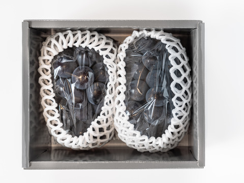 【贈答用】 岡山県産ニューピオーネ 2房　予約販売！8月下旬より順次発送致します。