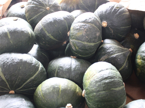 かぼちゃ『ダークホース』２玉約３㎏　ホクホク甘くて美味しい