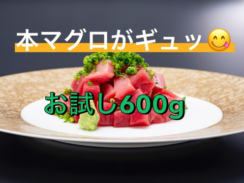 【訳アリ】鮪の旨味たっぷり!みやび本鮪赤身切り落とし 600g(不揃い柵3本~4本:約6人前)