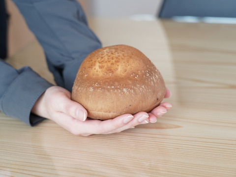 【オンラインショップ】 超肉厚！取れたて直送！原木生しいたけ（1000g）農薬不使用 野菜