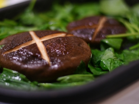 原木椎茸 生 肉厚 1kg【春子のご予約】3月10日頃から発送「のとてまり、茸王」と同系 ひるぜん原木しいたけ 生産者直送 岡山県 蒜山（ひるぜん）高原/鳥取産 クール便発送