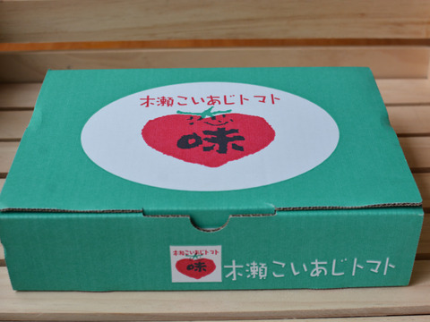 《春の限定》旨みたっぷり 高糖度フルーツトマト"木瀬恋味トマト" 1kg