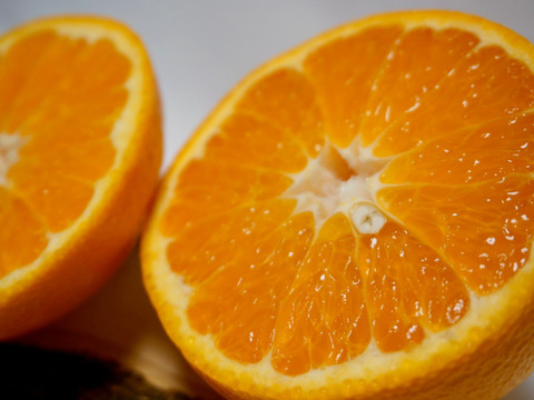 【母の日ギフト】『八朔！？春峰(しゅんぽう)です！』約20～30玉入り サイズ混合