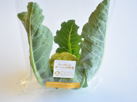 和らぎ農法　グリーンカリフラワー　大（1～3個）