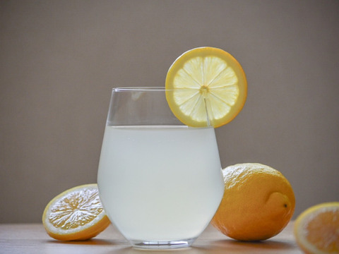 レモネード　900ml　2本入　【母の日ギフト】