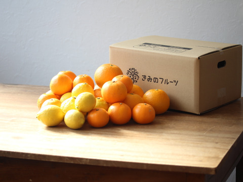 【柑橘食べ比べ】豪華6種セット！フルーツ詰め合わせ　約4kg