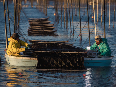 ＼佐賀有明海の香りをそのままに／ 佐賀海苔 焼き海苔 半切10枚