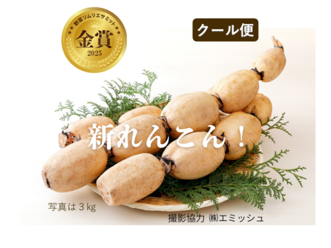 クール便【2025年野菜ソムリエサミット金賞】すずきの「口福れんこん」 松 2キロ