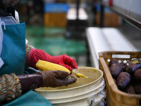 大容量！濃厚な甘さ茨城県産紅はるか切り落とし干し芋400g×10袋
