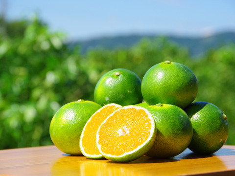 日下農園【ゆら早生】サイズ混合3kg