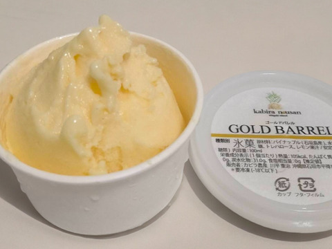 【暑い夏にオススメ❣️】石垣島のパイン農家が作る完熟ゴールドバレルのスッキリ爽やかジェラート🍧6個セット！！