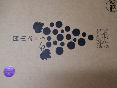 【事前予約9月以降発送】岡山県新見市産　標高の高い畑で作った大粒！味の濃い！ニューピオーネ　１房　800g以上