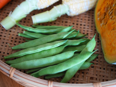 【秋の野菜セット】標高1100M・六合の伝統野菜や幻の419キャベツ計7種