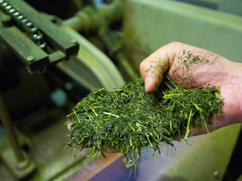 《メール便・3袋セット》どうまい緑茶