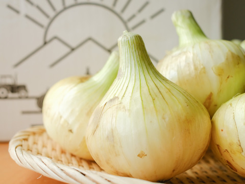 【予約商品】糖度９〜10度！! 甘い！！　淡路島スイートオニオン たまねぎ(5キロ)