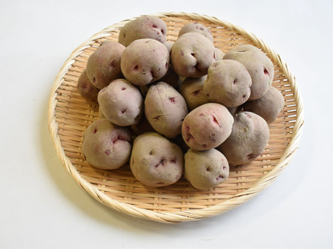 和らぎ農法　じゃがいも　秋じゃがアンデスレッド便（約2.5kg）