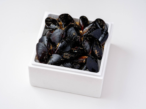 ムール貝｜岩手県越喜来湾崎浜産（2kg）