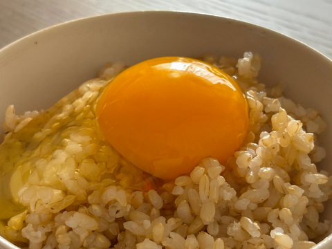 トウモロコシ不使用・こだわりの発酵飼料を食べた『あずさ』の平飼い卵10個入りパック×3個（30個）