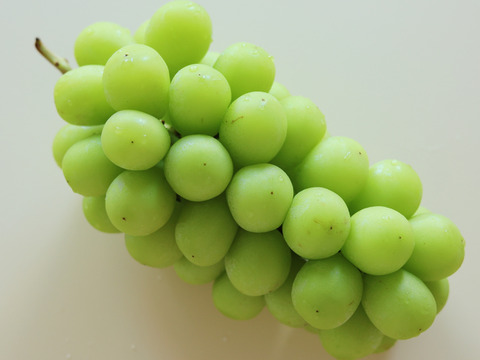 【食べる喜び・贈る喜びを感じる】★クール配送★シャインマスカット2㎏　4～5房